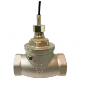 FS-3S 不銹鋼流量開關(guān)